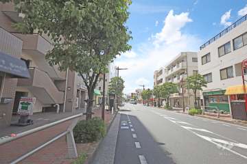 敷地北側の前面道路