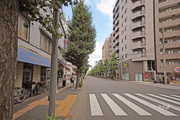 敷地南側の前面道路（西側から）