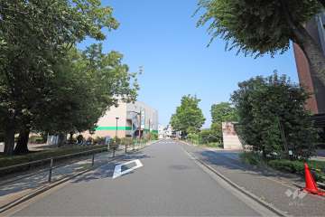 敷地北西側の前面道路（南西側から）