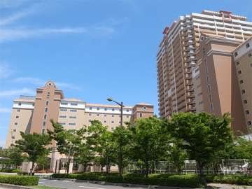 敷地北西側の街路樹がきれいな通り