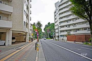 敷地北西側の前面道路（北東から）
