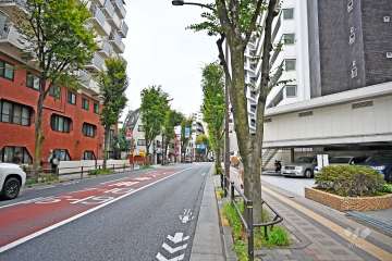 敷地北西側の前面道路（南西から）