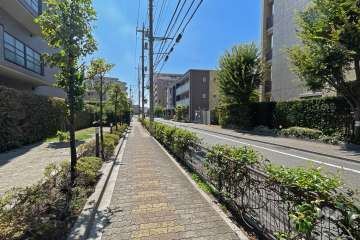 敷地西側の前面道路（北側から）