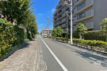敷地西側の前面道路（南側から）