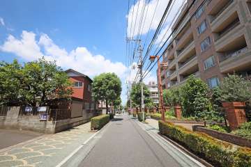 敷地西側の前面道路（南側から）