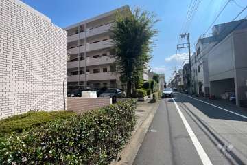 敷地の西側前面道路（北側から）