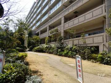 敷地南側植栽スペース