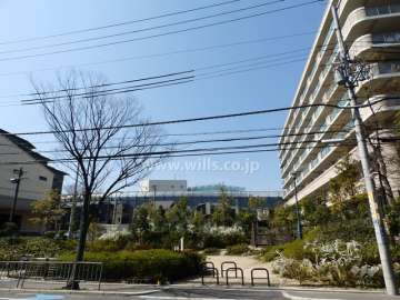 敷地南側は公園になっています。