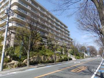 敷地の東側前面道路