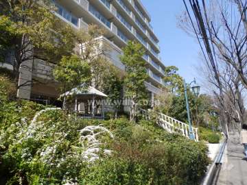 敷地東側は植栽が豊富です。