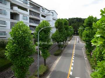 敷地北側の通り。突き当たりは千里緑地です。