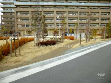 敷地内の植栽スペース