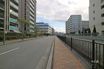 敷地西側の前面道路（北側から）