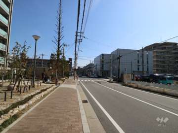敷地南側の前面道路（西側から）