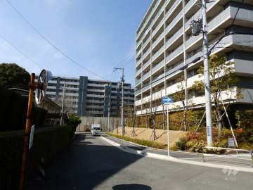 敷地南側の前面道路