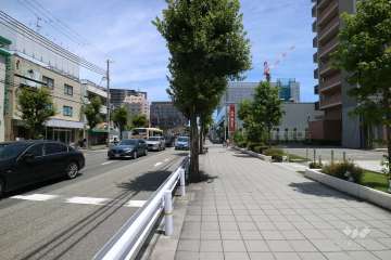 敷地北側の前面道路（西側から）