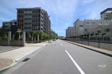 敷地西側の前面道路（北側から）