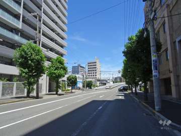 敷地南側の前面道路（西側から）
