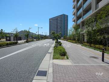 敷地南側の前面道路