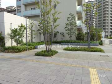 敷地内の緑地部分