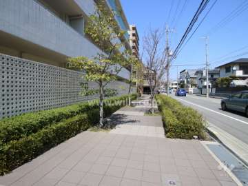 敷地東側の歩道