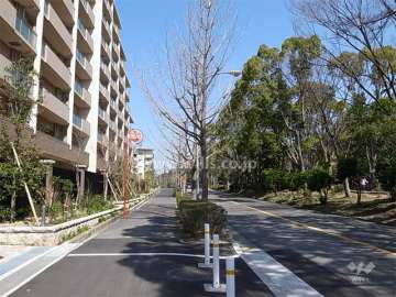 敷地東側は街路樹のきれいな通りに面しています。