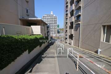 敷地北側前面道路（南側から）