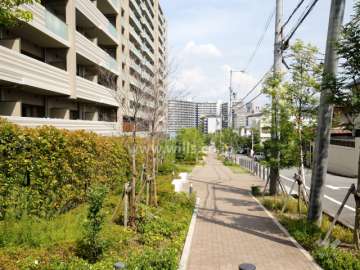 敷地南側の通路