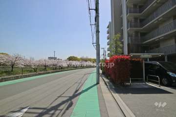 敷地東側の前面道路