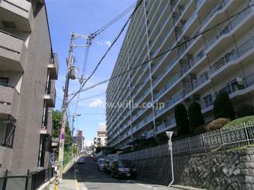 敷地西側の前面道路。道を挟んで向かい側は寺内小学校です。