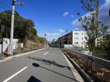 敷地北側の前面道路