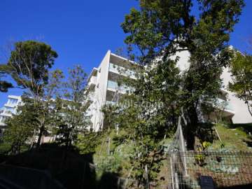 敷地の周囲には木々が茂り、たいへん緑豊かです。