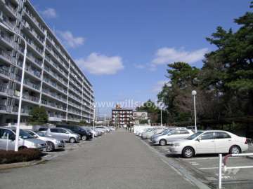 敷地の東側には堤防沿いに松林が並ぶ高川が流れています。