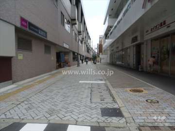 北側前面道路（西側から）