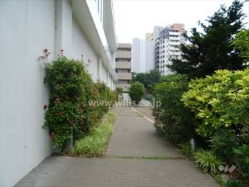 南側前面道路（西側から）