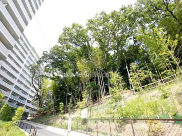 敷地南側の緑地
