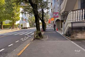 敷地北側の前面道路（西側から）