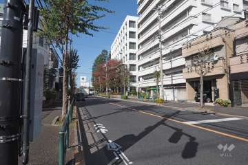 敷地南側の前面道路