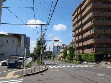敷地南側の前面道路。街路樹のきれいな通りです。