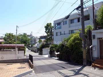 敷地北側の前面道路。周辺は緑豊かな閑静な住宅地です。