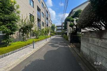 敷地北側の前面道路（東側から）