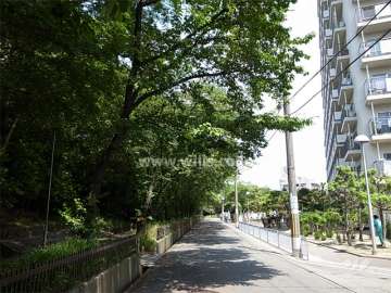 敷地の西側は緑地に面しています。