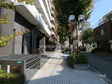 敷地南側は歩道のある通りに面しています。