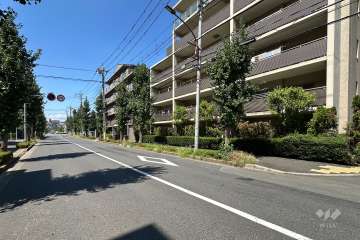 敷地の南側前面道路（東側から）