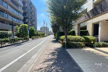 敷地東側の前面道路（北側から）