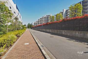 敷地北側の前面道路（西側から）