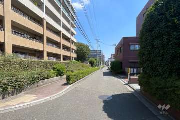 敷地南側の前面道路