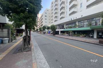 敷地の東側前面道路（南側から）