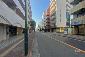 敷地東側の前面道路（北側から）