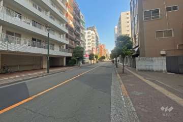 敷地東側の前面道路（南側から）